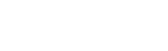 Logotipo da organização Leroy Merlin em branco