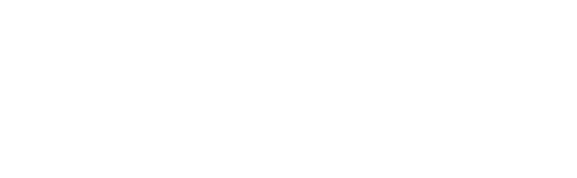 Logo safran white