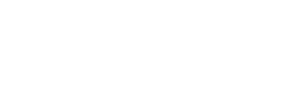Logo of We turtle in white