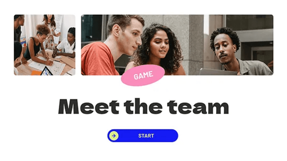Meet the team